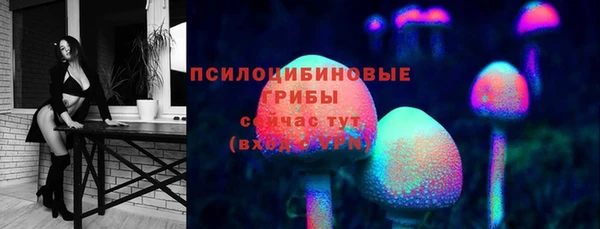 метадон Богородицк