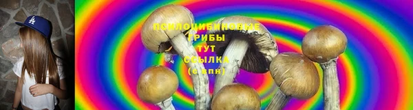 метадон Богородицк