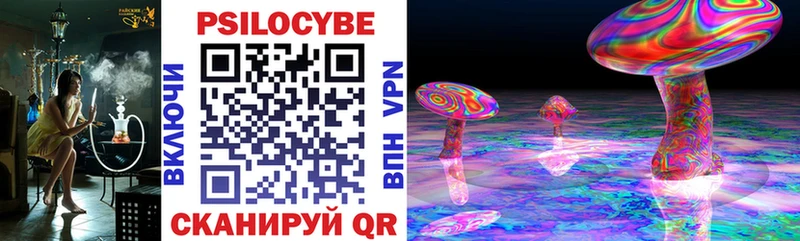 Псилоцибиновые грибы Psilocybine cubensis  Купить где  Талдом 
